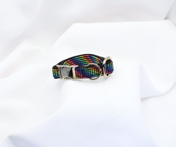 Halsband mit Metallschnalle, 2 cm